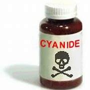 Image result for cyanide 山埃