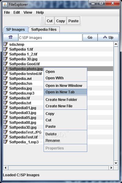 Image result for Free File Explorer Developer Download