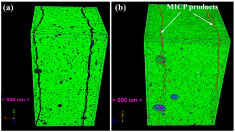 Use of Genetically Modified Bacteria to Repair Cracks in Concrete