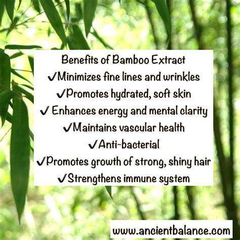 100% Moso Bamboo Extract for Natural Health Benefits