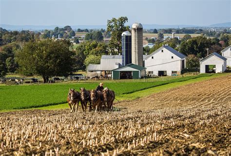 Amish | Definition, History, Beliefs, Education, Children, Lifestyle, & Facts | Britannica