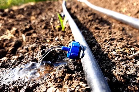 Image result for Installing Irrigation System Using CyberKnife