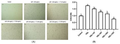 Low Testosterone and High Leptin Activate PPAR Signaling to Induce ...