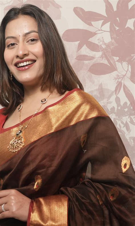 Walnut Brown Red And Gold Border And Palla Chanderi Silk Saree – Qala ...