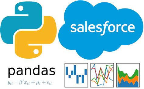 Python Life Salesforce 的图像结果