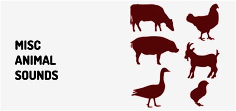 Locus Bug Sound 的图像结果