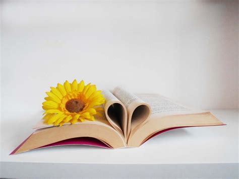 Image result for Library Book Reads