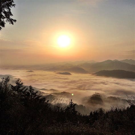 TORIMIYAMA PARK (2026) All You Need to Know BEFORE You Go (with Photos ...