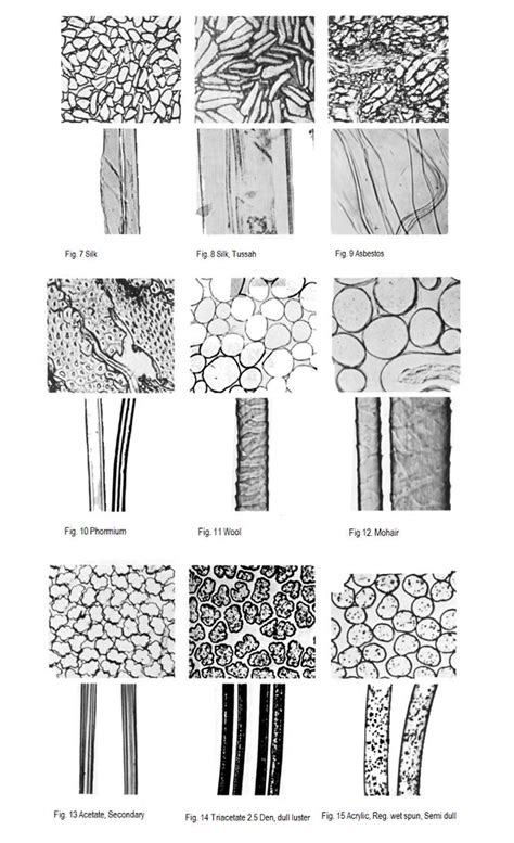 Textile Fiber Structure 的图像结果