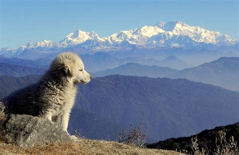 Discover Tumling One Day Trek - Adventures UnlimitedAdventures Unlimited