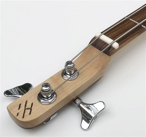 Image result for 2 String Guitar