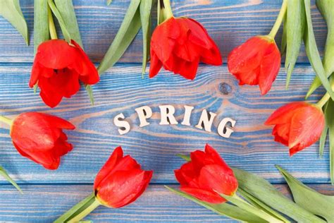Image result for Friday Spring Time