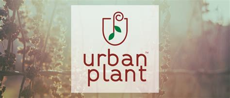 Urban Plant Apollo Metal Plant/Pot Stand for Garden | Planter Stand for ...