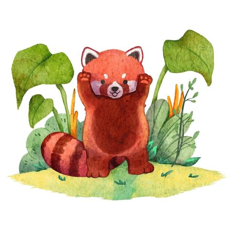 Image result for Red Panda Cuddle