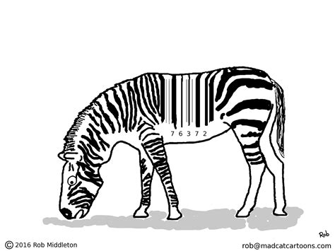 Image result for Zebra Code Programing