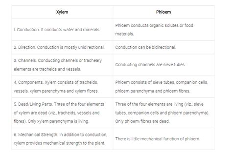 Why are xylem and phloem called complex tissues?
