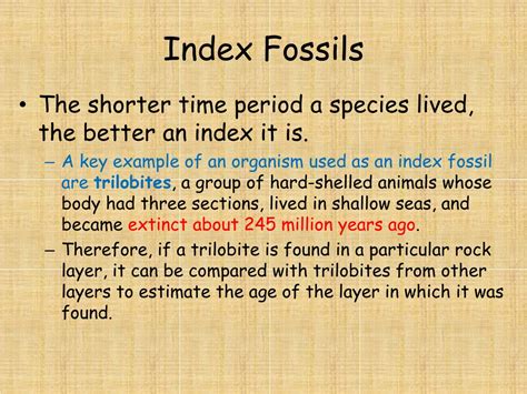PPT - Rocks, Fossils, and Their Stories PowerPoint Presentation, free ...
