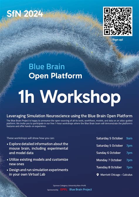 Blue Brain Project 的图像结果