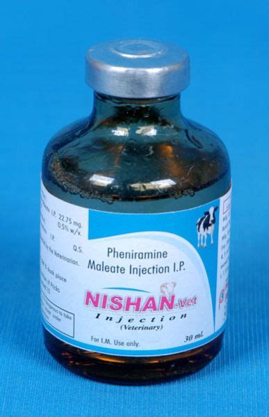 Pheniramine Maleate Injection Manufacturer, Supplier from Vadodara