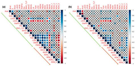 Leaf to Root Morphological and Anatomical Indicators of Drought ...