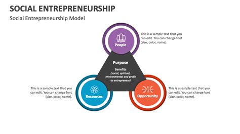 Social Entrepreneurship Model 的图像结果