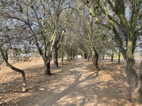 Hiking Iron Mountain - Go Hiking San Diego