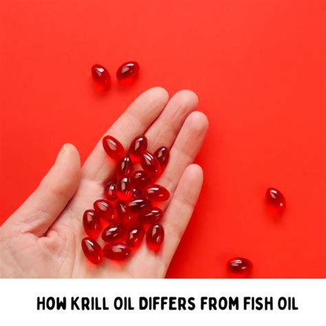 5 Key Health Benefits of Krill Oil Supported by Research | Clinikally