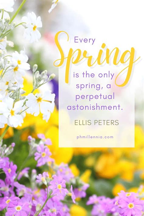 Image result for Spring Season Reflection