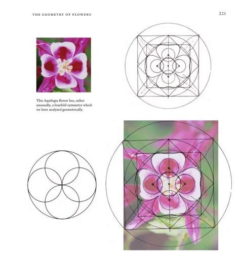 Rezultat imagine pentru Internet Archive Hidden