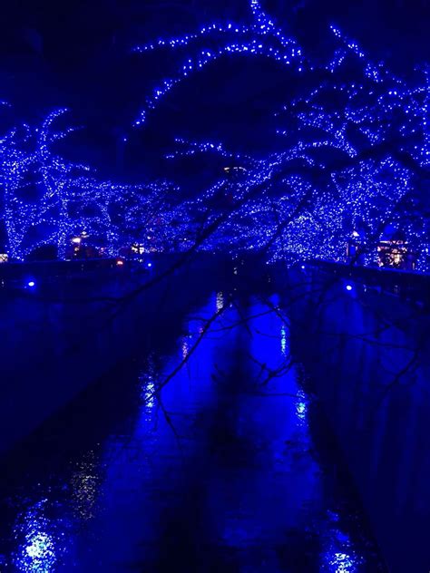 250 Electric Blue 🪼 ideas in 2025 | blue aesthetic, blue aesthetic dark ...