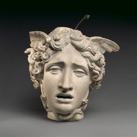 Medusa Head
