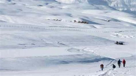 Uttarkashi avalanche: 7 more bodies recovered, brought to Matli Helipad