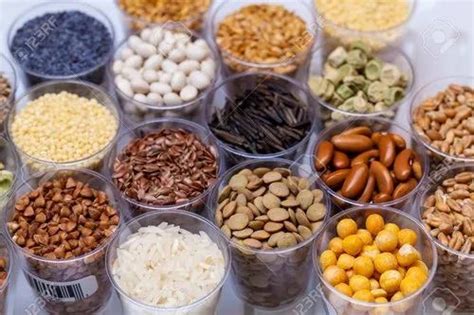 Agriculture Seeds 的图像结果