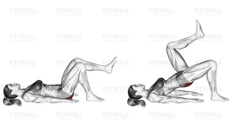 Bridge Exercise 的图像结果