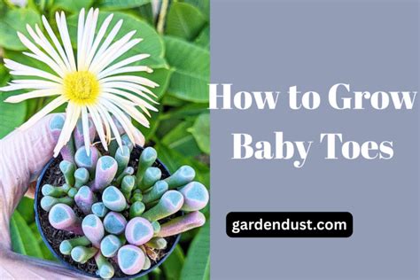 Image result for How to Control Leaf Cutter Bees