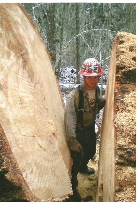 Image result for Old Logging Springboard