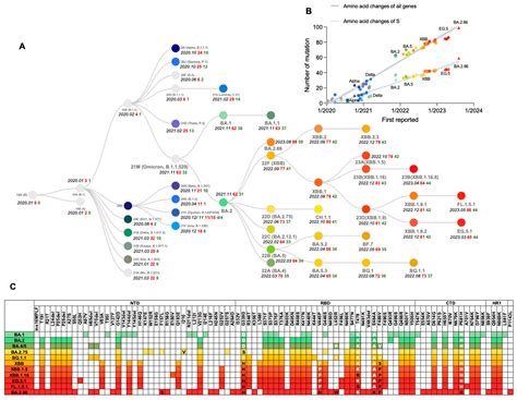 Evolution of the SARS-CoV-2 Omicron Variants: Genetic Impact on Viral Fitness