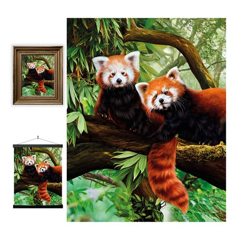 Buy 3D LiveLife Lenticular Wall Art Prints - Red Pandas from Deluxebase ...