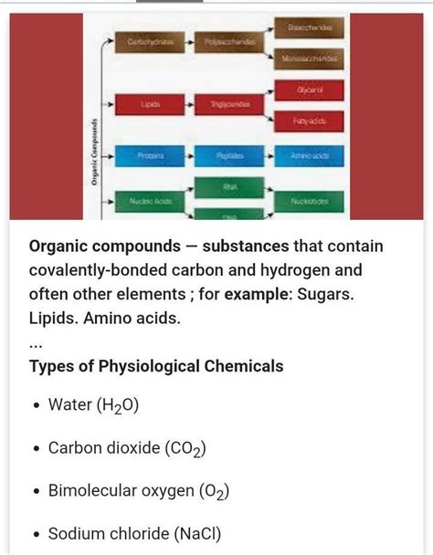examples of organic compound - Brainly.in