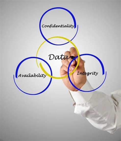Data Management Principles 的图像结果