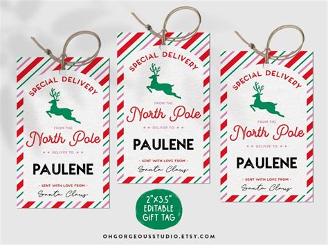 Printable North Pole Special Delivery Tag Template Editable - Etsy