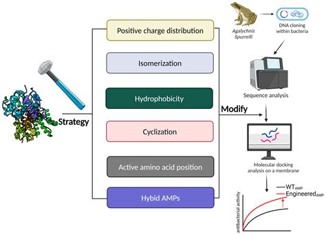 A Review of Antimicrobial Peptides: Structure, Mechanism of Action, and ...