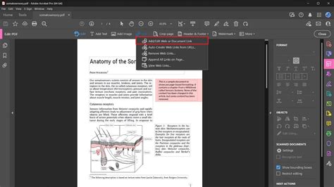Image result for Adding a URL to PDF