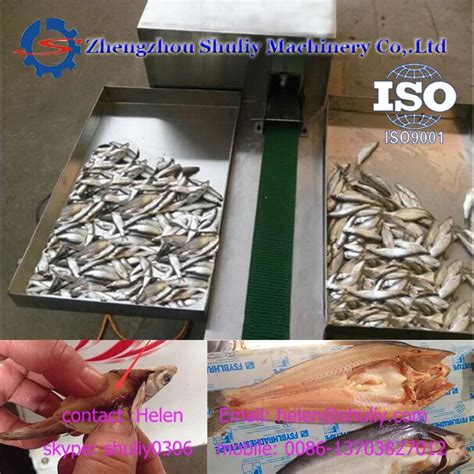 Image result for Fish Cleaner Machine