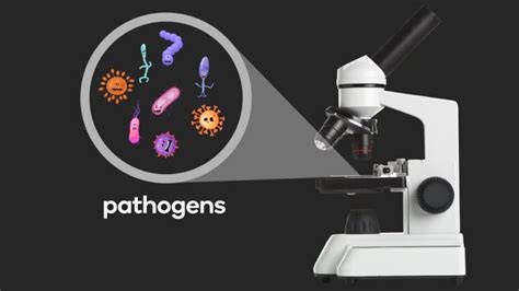 Image result for Pathogen Explanation