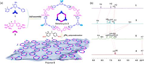 Image result for Polymer Formation
