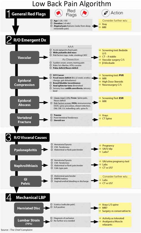 Image result for Lower Back Pain Chart