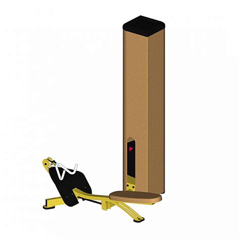 Image result for Low Row Machine Form