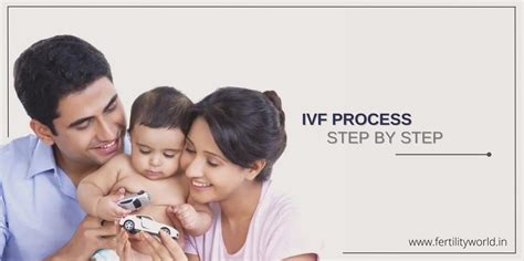IVF Process Step by Step 的图像结果