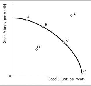Basic Economic Model 的图像结果
